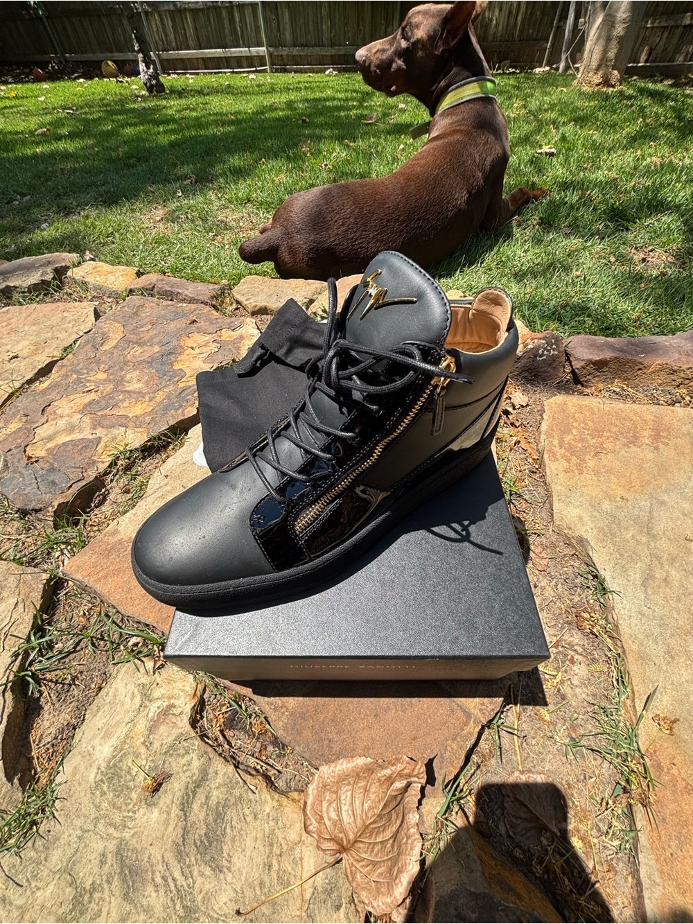 Giuseppe Zanotti Black Leather High-Top Sneakers with Gold Zipper Detail